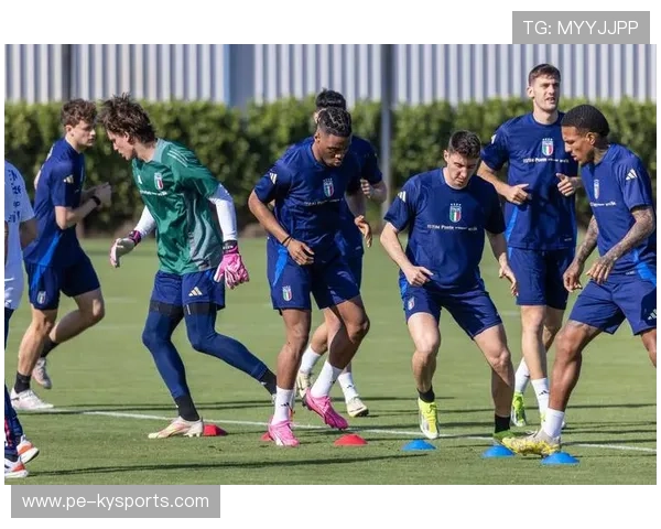 意大利足球比赛举办派对活动，球迷狂欢，意大利足球场比赛